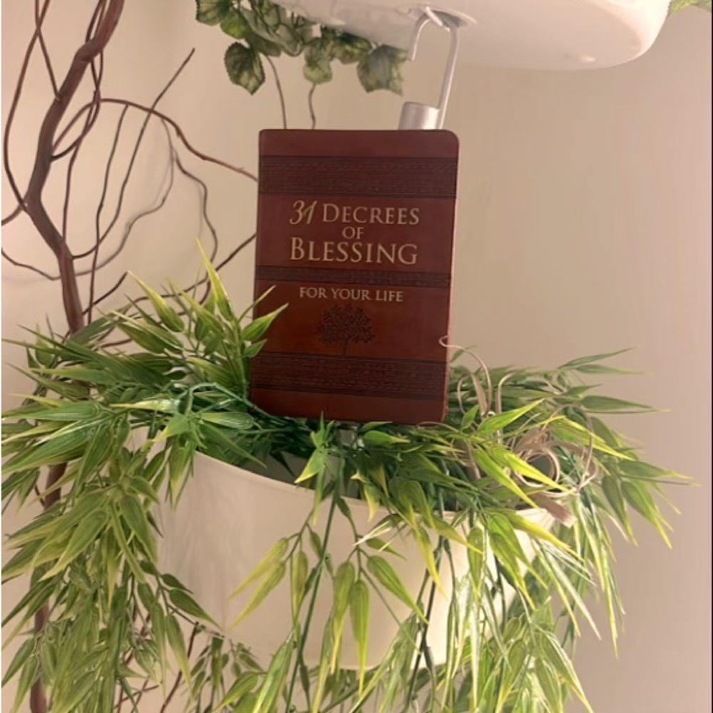 31 degrees of blessings for your life